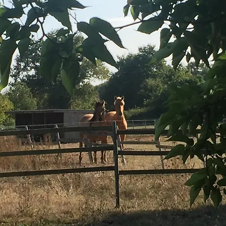 Feriehus La Brionniere Aizenay