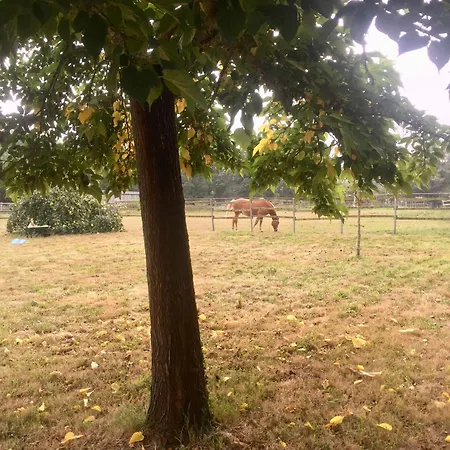 Feriehus La Brionniere