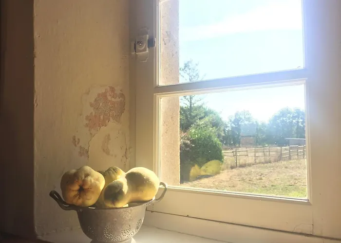 La Brionniere * Aizenay