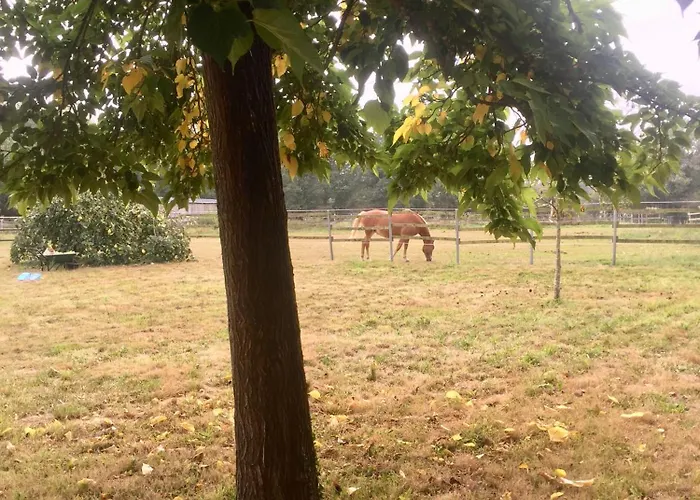 Prázdninový dům La Brionniere